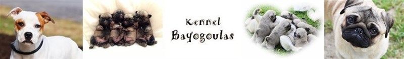 BAYOGOULAS